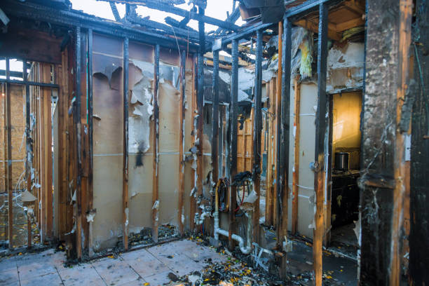 Professional Fire Damage Removal technician working in Buffalo, TX